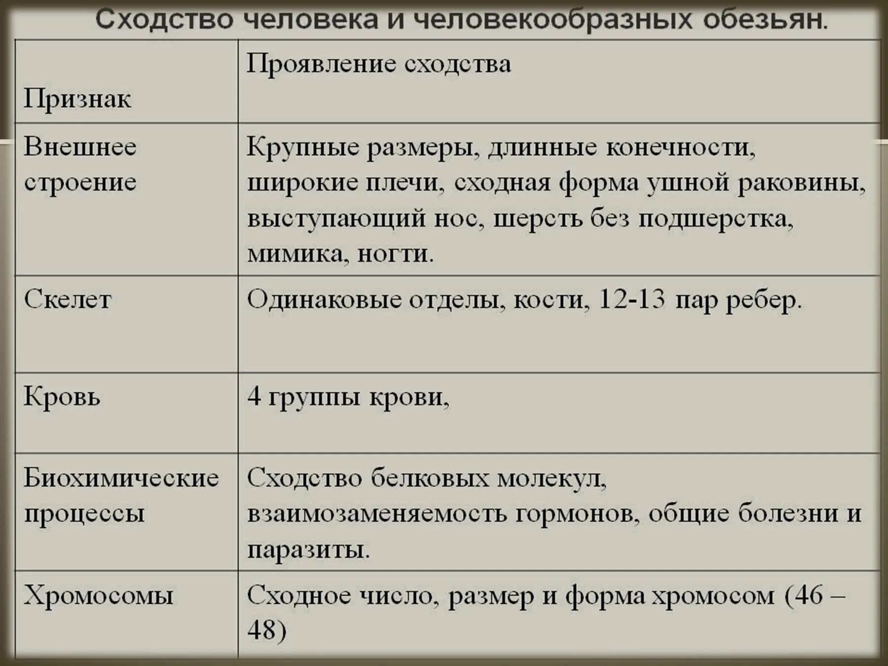 Признаки сходства и различий. Таблица сходствачеловнка и человекобразных обезьян. Сходство человека и человекообразныхоьезтян. Сходства и различия человека и человекообразных обезьян. Сходство человека и человекообразных обезьян таблица.