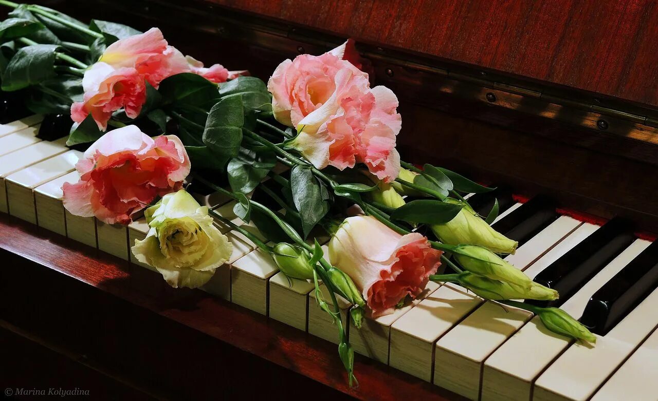 Рояль с цветами. Цветы на пианино. Пианино с цветами. Музыкальный букет. Песня счастье в душе