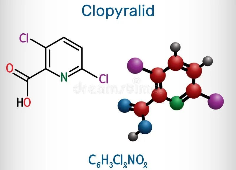 Пестициды молекула. Хлорорганические пестициды молекулы. Клопиралид структурная формула. Хлорорганические инсектициды формулы.