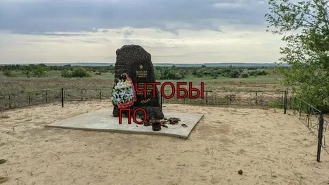Гули королевой волгоград