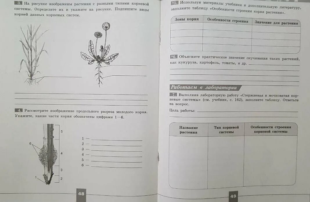 Линия жизни пасечник 6. Рабочая тетрадь по биологии 6 класс линия жизни. Биология 6 класс рабочая тетрадь Пасечник. Тетрадь для новых трав. Биология 6 класс рабочая тетрадь Пасечник линия жизни.