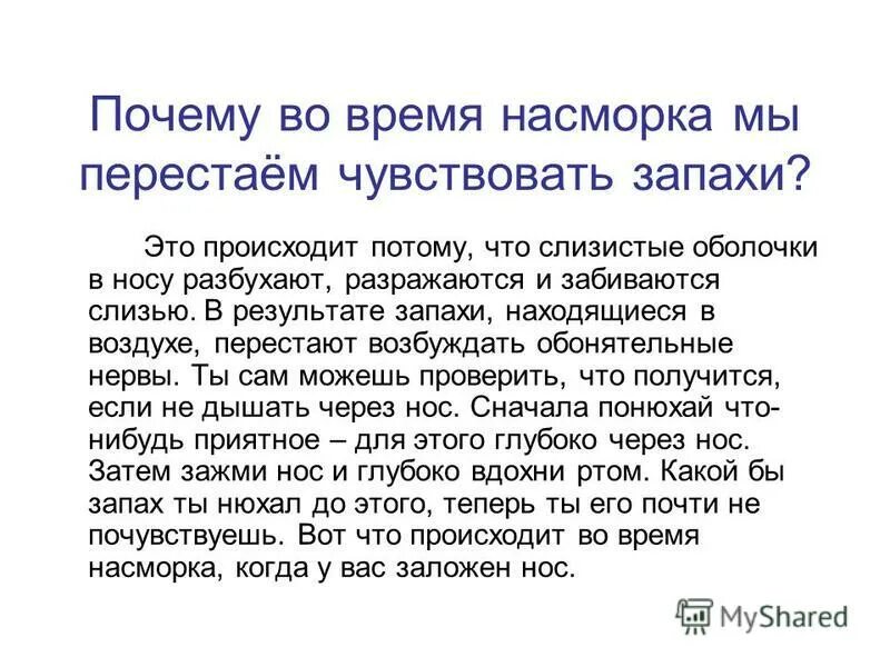 Почему во время насморка мы почти перестаём чувствовать запахи. Почему мы ощущаем запахи. Почему мы чувствуем запах. Не чувствую запахи при насморке.