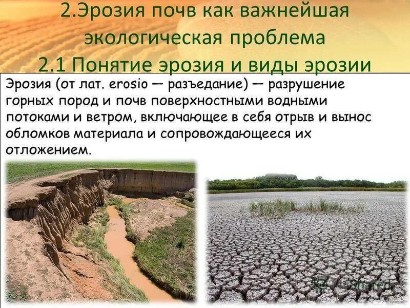 Эрозия почв какая проблема. Ветровая эрозия почв причины. Водная и Ветровая эрозия. Водная и Ветровая эрозия почв. Водная эрозия почв.