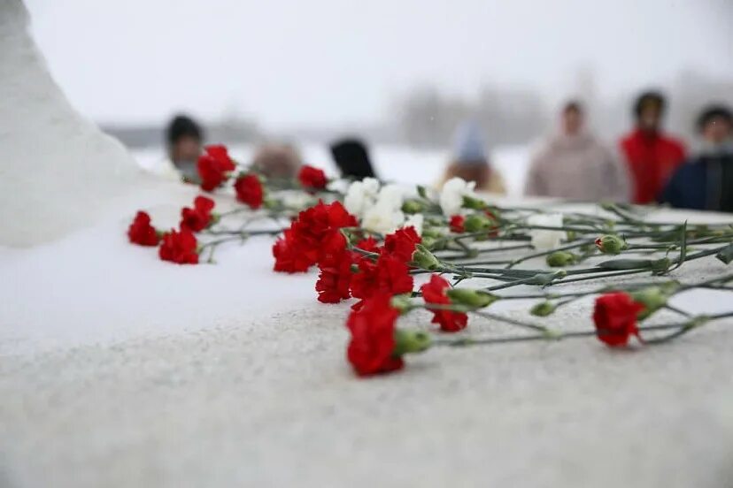 Соболезнования семье погибшего военнослужащего. Вечная память погибших на Украине. Соболезнование погибшим на Украине. Соболезнования семье солдата.