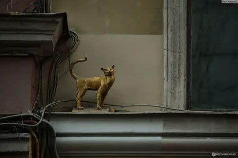 Улица лунных кошек
