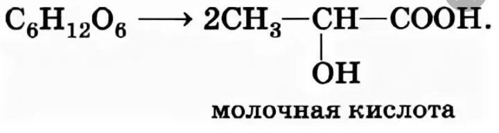 Молочнокислое брожение глюкозы уравнение реакции. Молочная кислота брожение глюкозы. реакция молочнокислого брожения глюкозы. химическая реакция молочнокислого брожения.