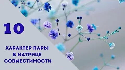 10 аркан в совместимости партнеров