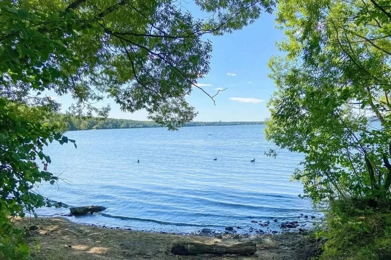 шарташ пляж 2024. озеро шарташ екатеринбург. шарташский пляж екатеринбург. шарташ екб пляж. шарташ пляж 2024.