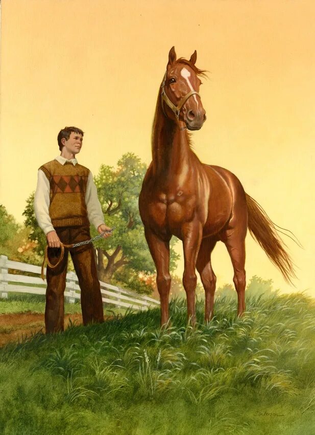 Чел конь. Ruth Sanderson лошади. Человек на лошади. Лошадь иллюстрация. Лошадь рисунок.
