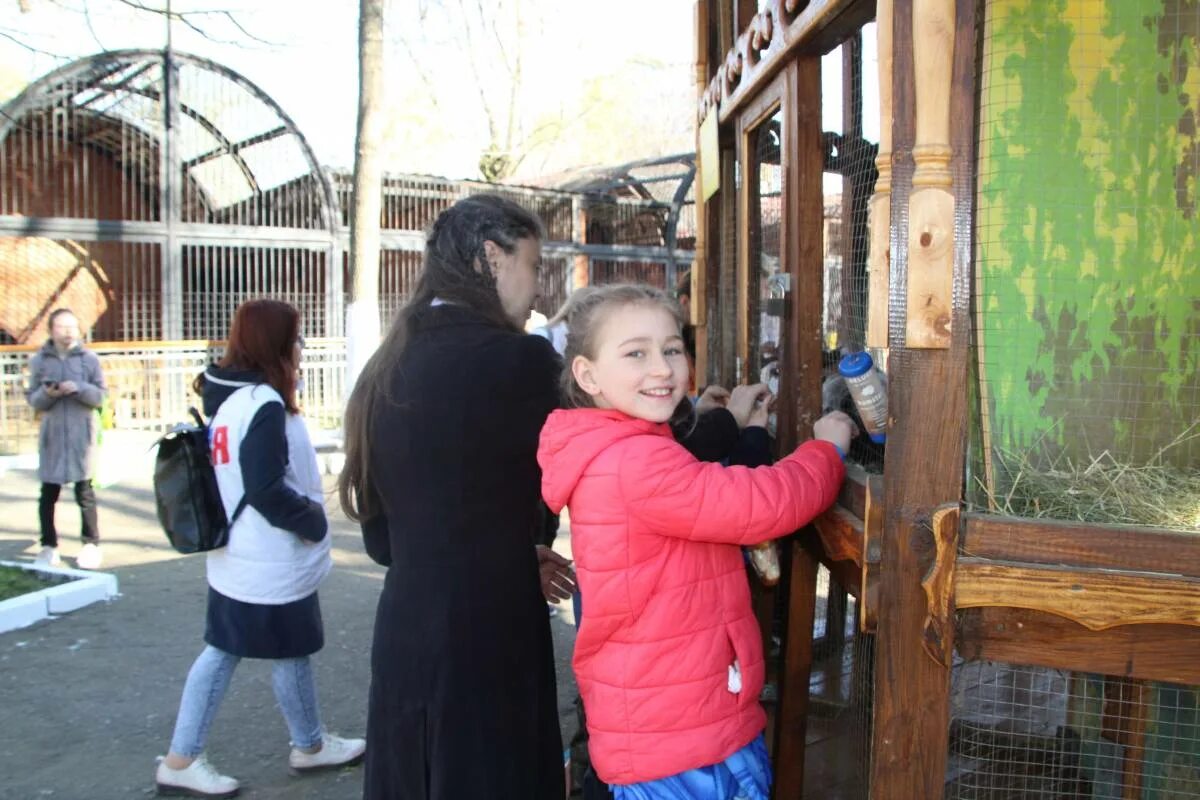 Детский зоопарк в Московском зоопарке. Посещение детского лектория в зоопарке. Детский городок в зоопарке. Зоопарк Саранск. Посещение зоопарка средняя группа
