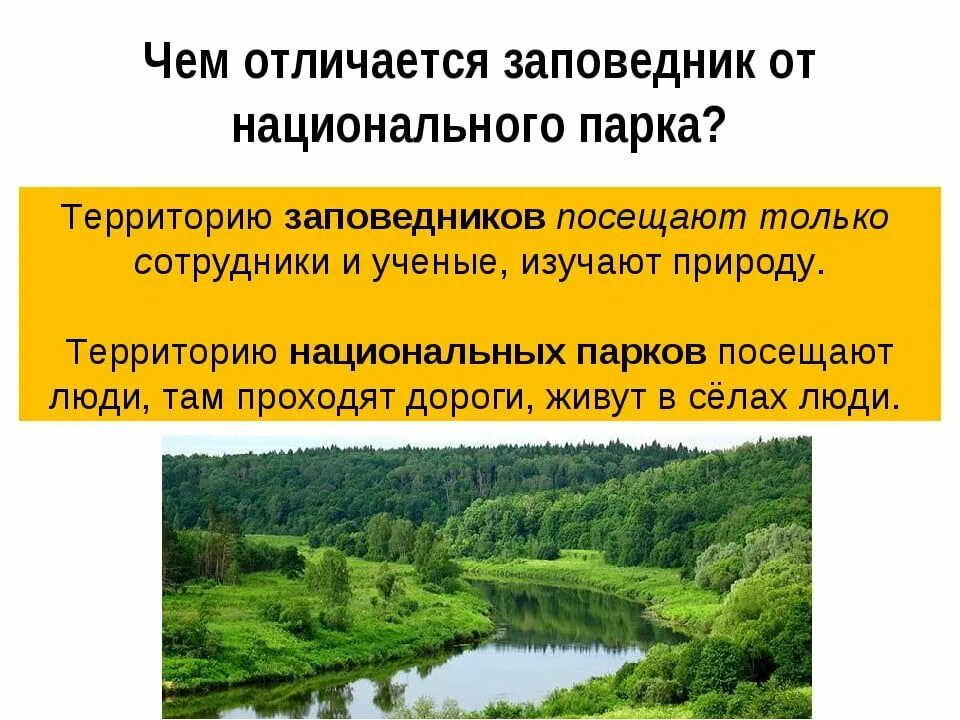 Какие есть заповедники национальных парков. Отличие нац парка от заповедника. Отличие заказника заповедника и нац парк. Заповедники заказники национальные парки. Чем отличаются заповедники от национальных парков.