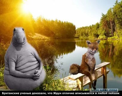 Сижу жду лета