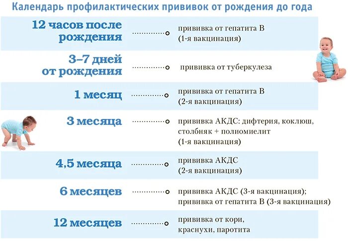 Правило 2 месяцев. Прививки детям до года. Прививку в 2 месяца ребенку. Прививки новорожденному до года. Прививки в 2 месяца новорожденному.