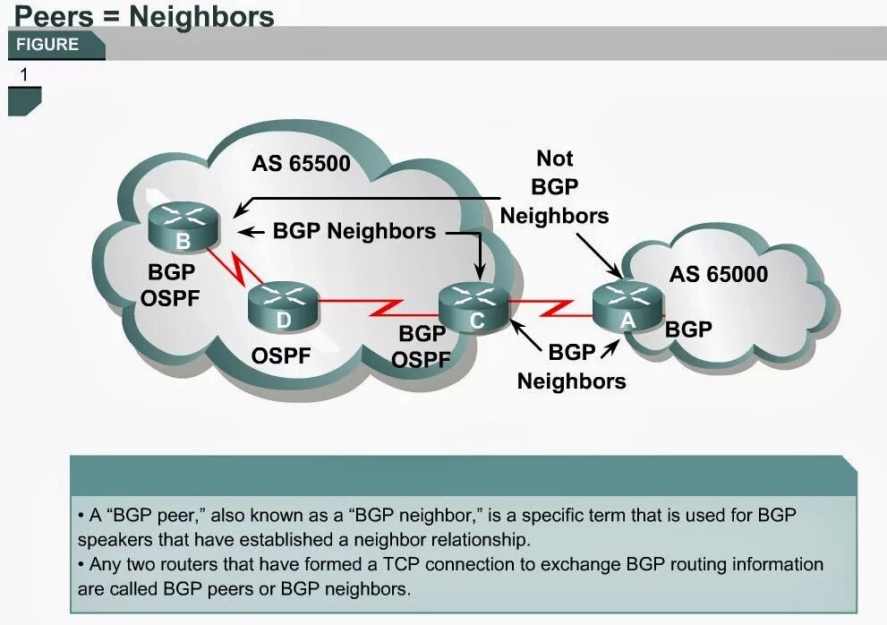 Bgp peer. Bgp. безопасность bgp. border gateway protocol.