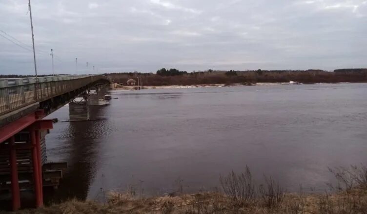 Уровень воды в реке унжа в макарьеве. Река Унжа Горчуха. Мост в Макарьевском районе Костромской области через реку Унжу. Горчуха Макарьевский район Костромской мост. Река Унжа Макарьев.