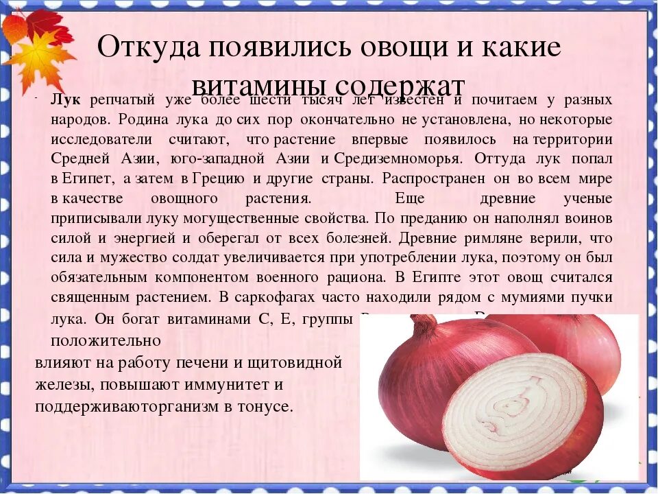 Лук какой витамин. Витамины в луке репчатом. какие витамины содержатся в луке репчатом. репчатый лук полезные свойства. лук репчатый содержит витамин.