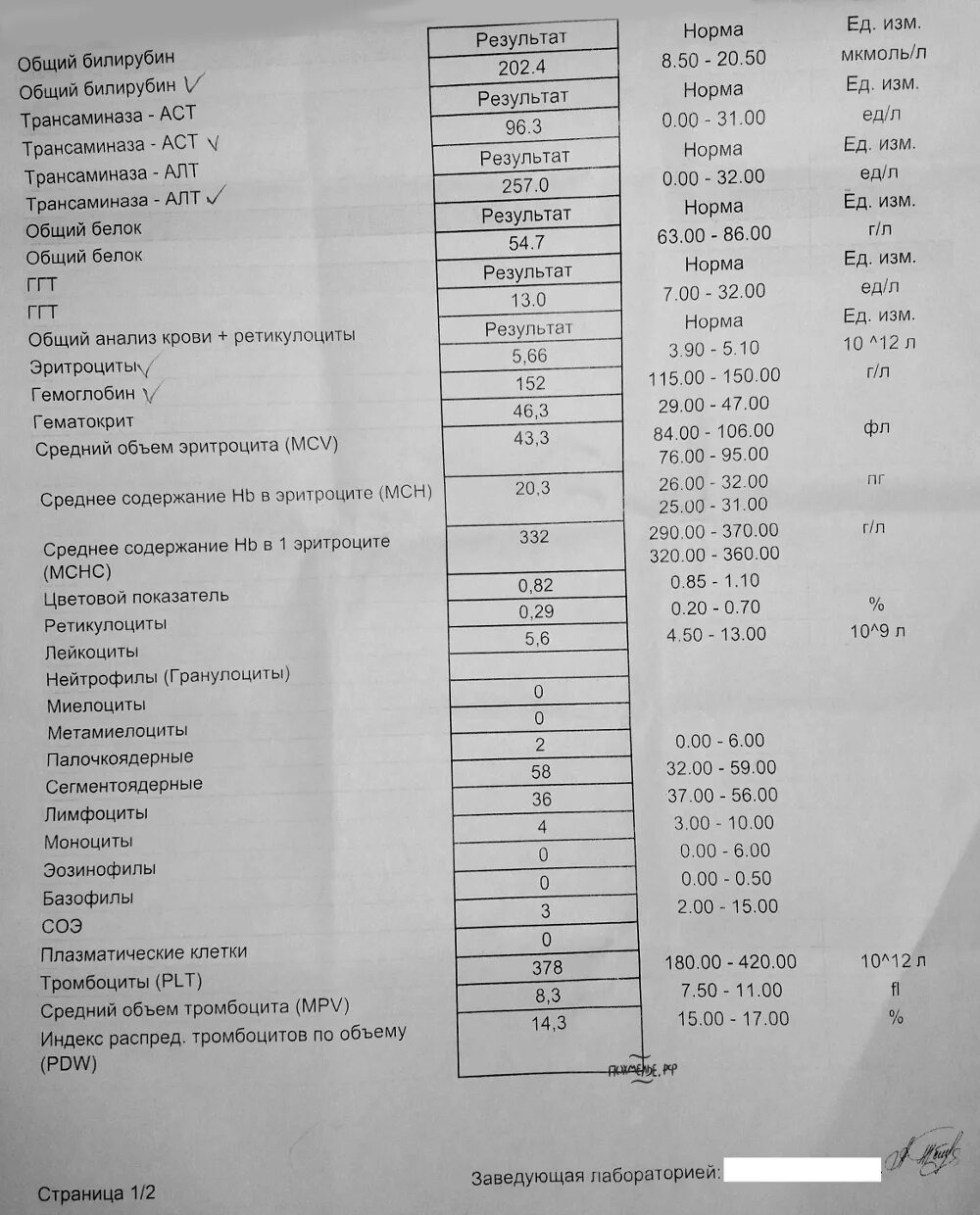 Норма алт у человека. Биохимия анализ крови показатели аст что это. показатель анализа крови ast. показатели биохимии...алт, аст норма. анализ крови алт и аст норма для женщин.