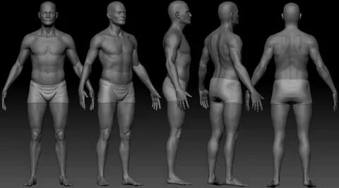 3d basic male body - www.teatox.ru 