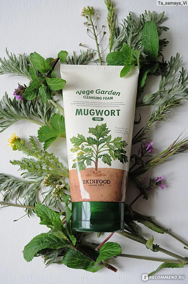 Пенка для умывания с полынью. Skinfood vege garden cleansing foam mugwort. пенка skinfood mugwort. skinfood vege garden cleansing foam (mugwort) 150ml. корейская умывалка с полынью.