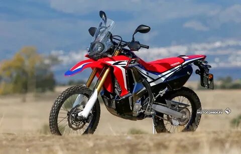 Ралли 250