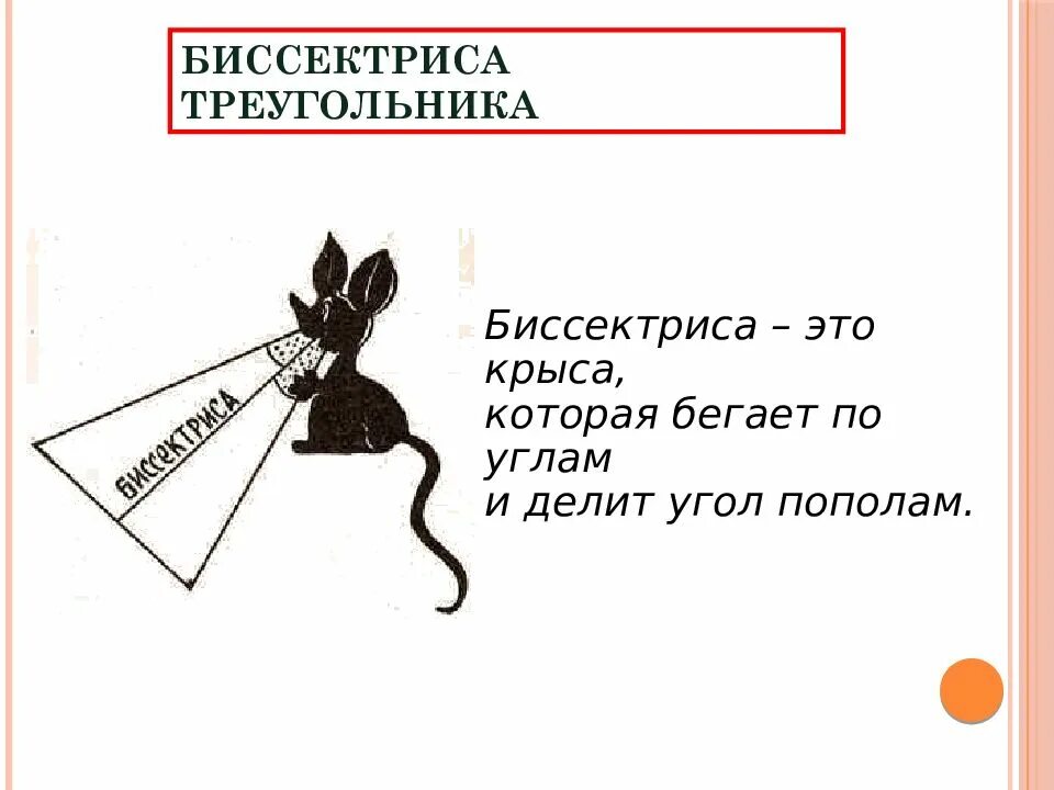 Биссектриса это крыса которая бегает по углам и делит угол пополам. Крыса делит угол пополам. Биссектриса это крыса. Стих про биссектрису.