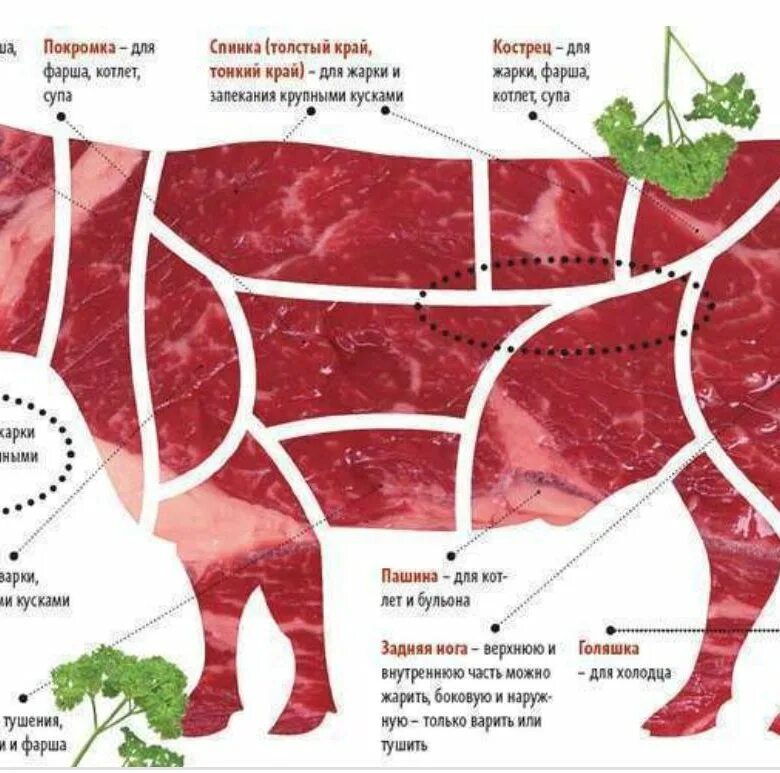 Шейная часть говядины. Часть мяса у шеи. Часть говядина шея.