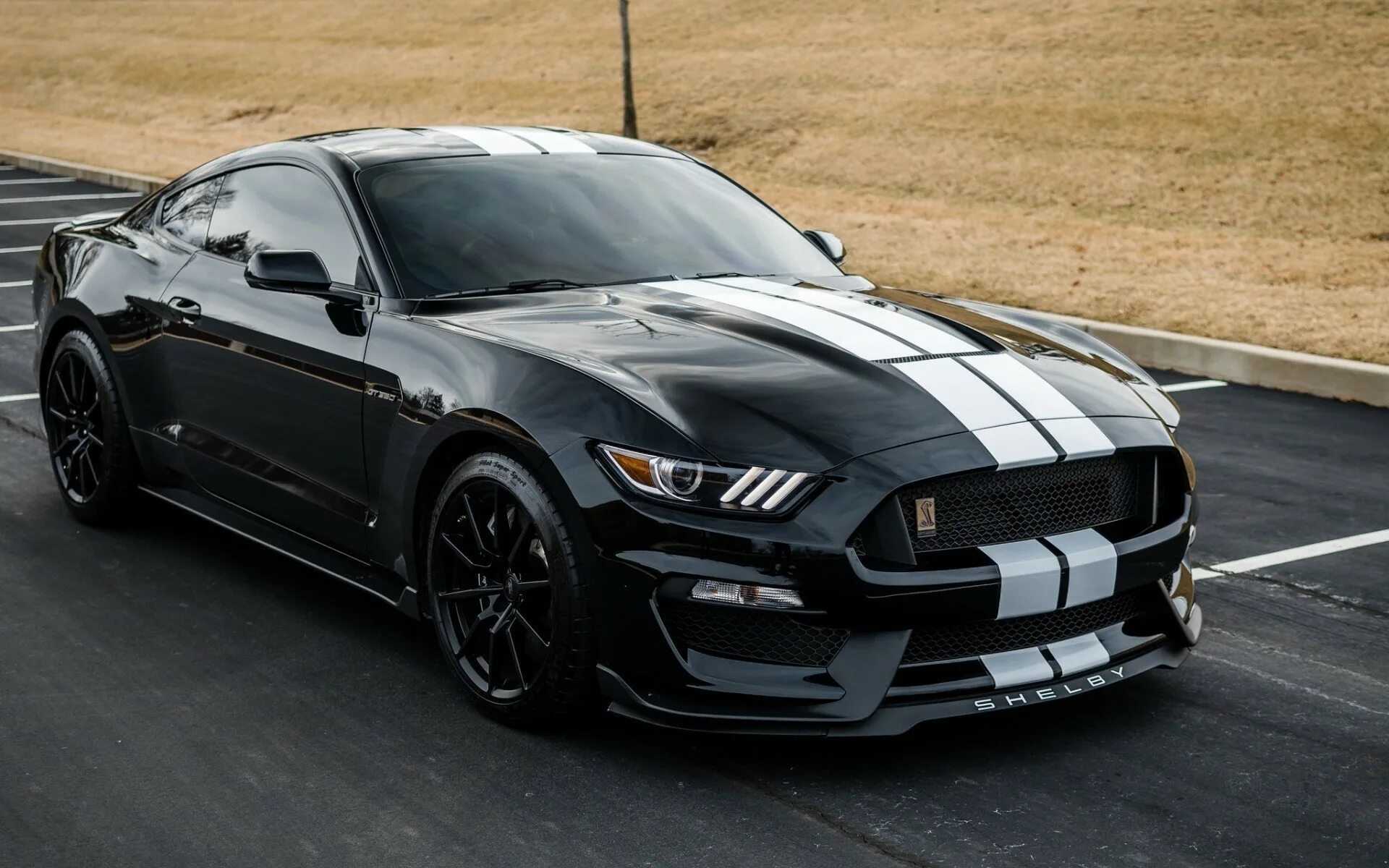 Мустанг объем. Ford Mustang Shelby gt350 чёрный. Ford Mustang Shelby gt500 2018. 2018 Ford Mustang Shelby gt350. Форд Мустанг Шелби 500 черный.