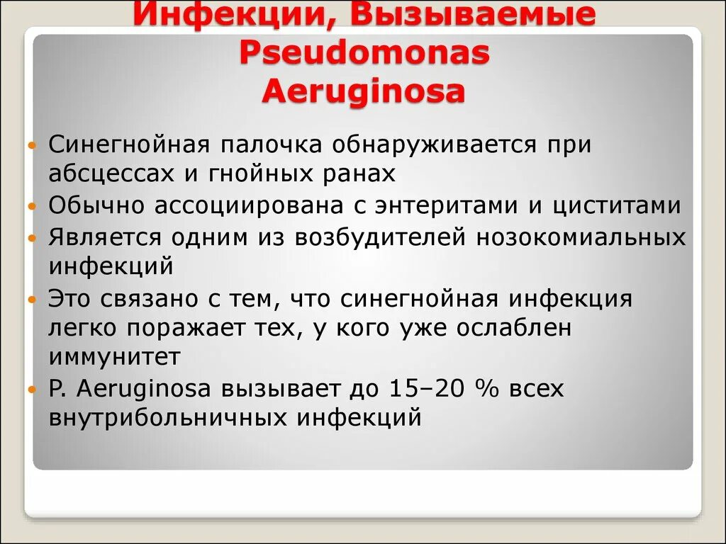 Какие инфекции вызывают. Заболевания вызванные синегнойной палочкой. Синегнойная палочка инфекция. Синегнойная палочка какие заболевания вызывает. Заболевание при синегнойной палочке.