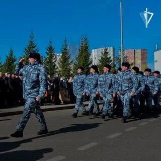 Омон адрес