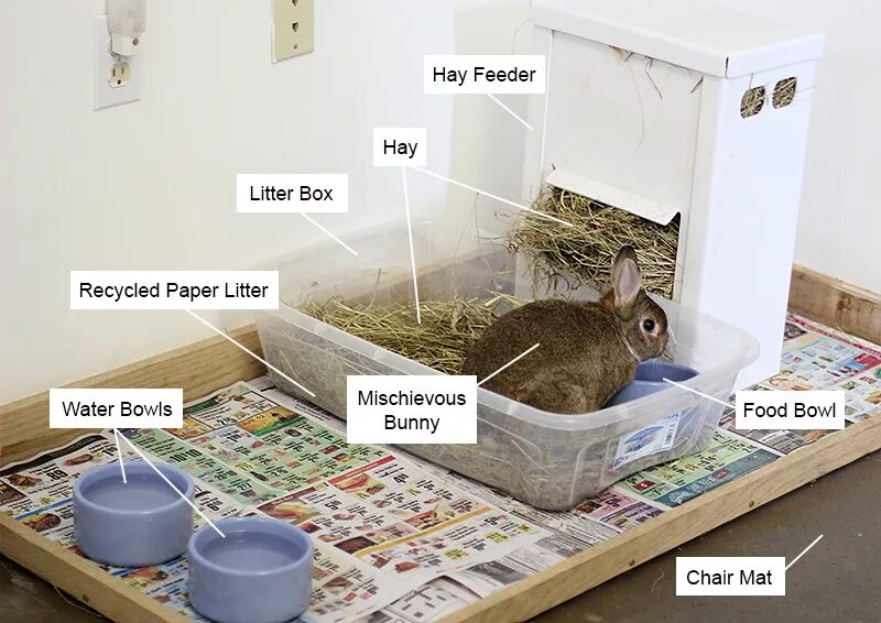 Домик для кролика декоративного. Ящики домики для кроликов. Клетки для кроликов декоративных в квартиру. Сенник для кролика с лотком. Завести ли кролика