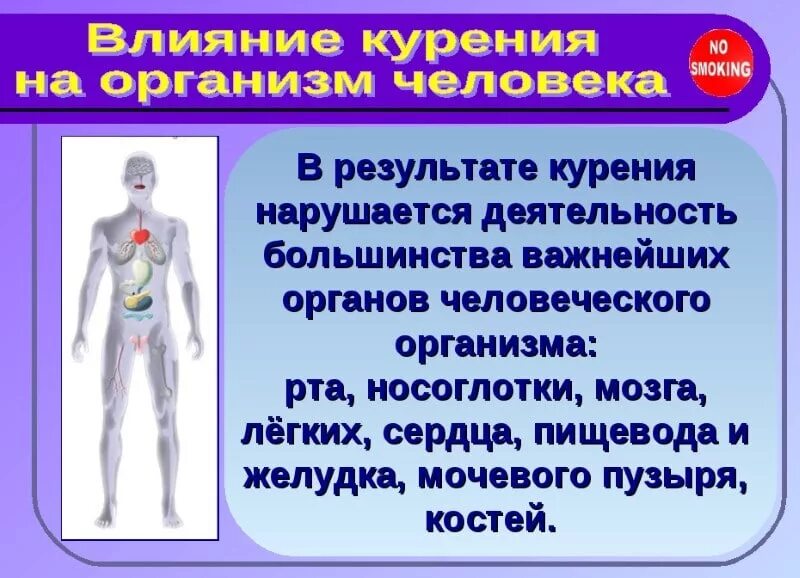 Влияние курения на организм человека. Влияние курения на здоровье человека. Воздействие курения на организм человека. Воздействие табакокурения на организм человека. Влияние курения на человека презентация