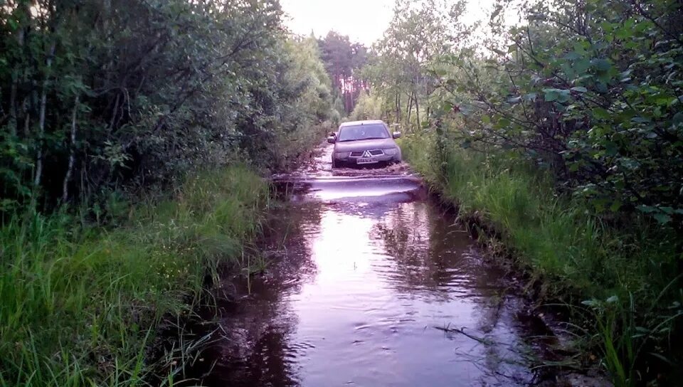 29 30 августа. Урочище Шушмор Владимирская область. Шушморская аномальная зона. Лемешино озеро.