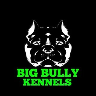 Big bully