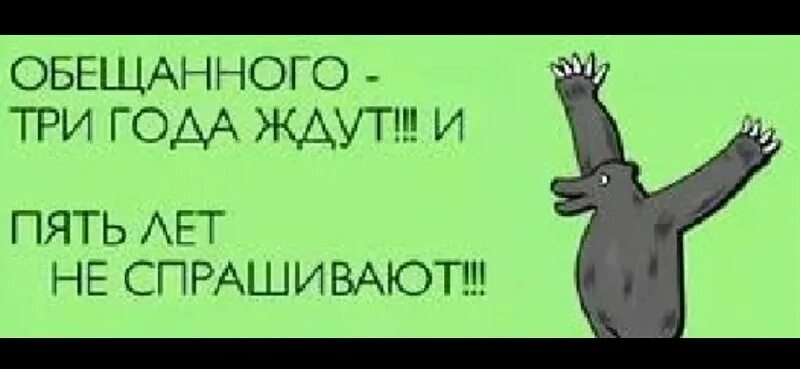 Обещанного три года. Обещанного три года ждут. пословица обещанного три года ждут. обещанного года ждут. обещанного 3 года ждут прикол.