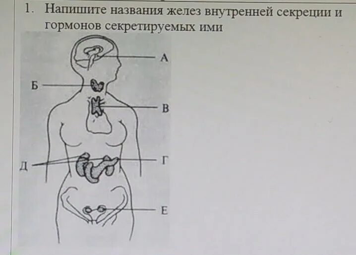 Какие заболевания изображены на рисунках 1 4