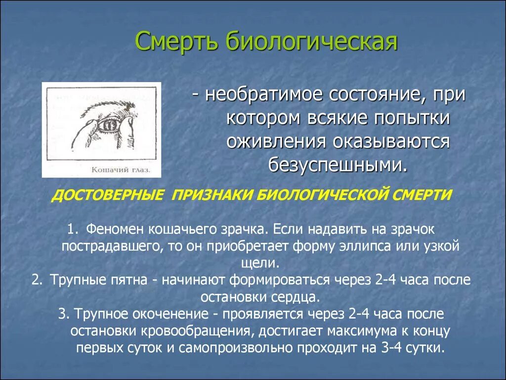 Смерть в биологии. Понятие биологической смерти. Понятие о клинической и биологической смерти. Понятие о смерти.