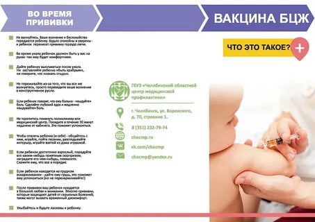 Вакцинация после бцж сроки