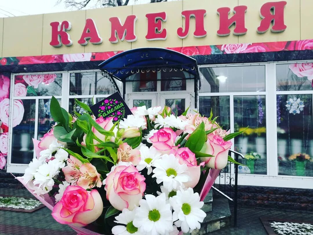 Камелия хасавюрт. Красная камелия символ. Камелия хасавюрт. Цветочный магазин в дербенте. Камелия хасавюрт.