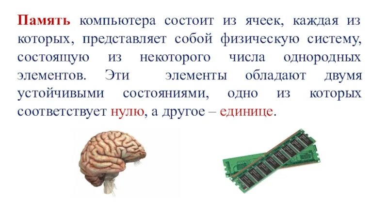 Содержимым ячейки памяти. Память компьютера состоит из. Ячейки памяти компьютера. Ячейка памяти компьютера состоит. Ячейка памяти компьютера состоит из однородных элементов называемых.