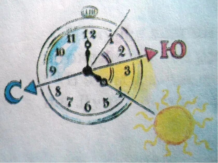 Свет в 8 часов. Как определить стороны горизонта по часам. Ориентирование сторон света по солнцу и часам. Определение сторон света с помощью часов. Определить стороны света по часам.