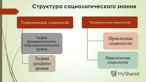 Уровни социологических исследований