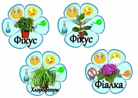 Растения для детского сада