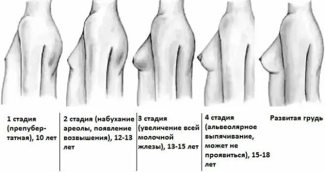 Во Сколько Лет Можно Начинать Дрочить