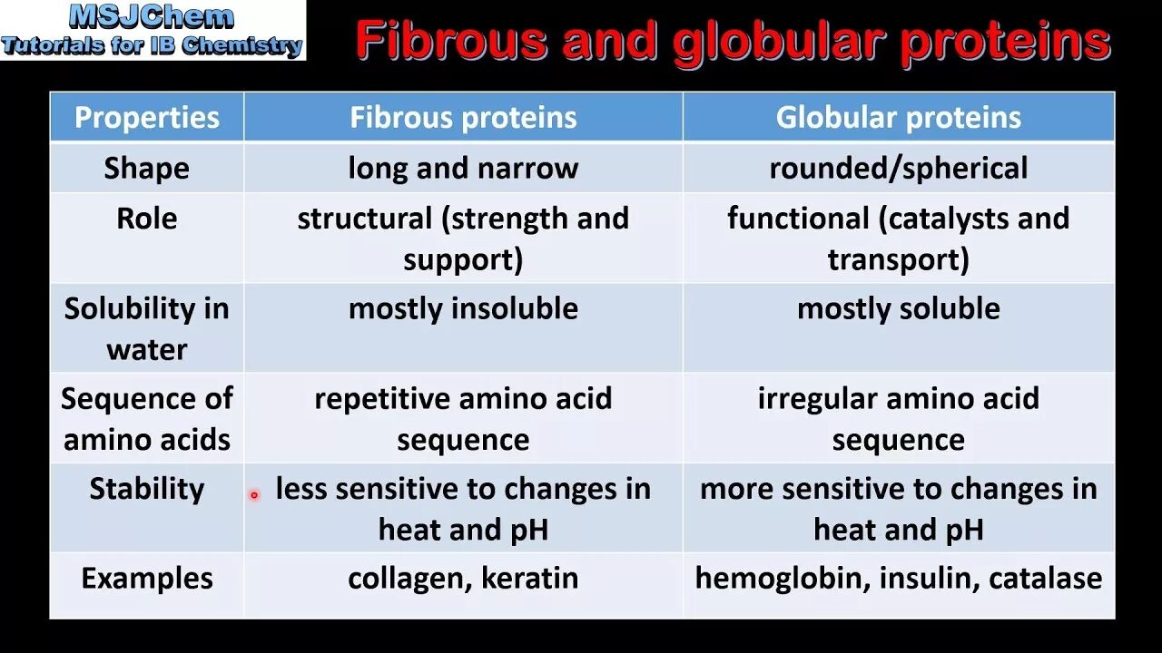 Info examples. Fibrous proteins. fibrous and globular proteins. proteins examples. fibrous proteins photo.