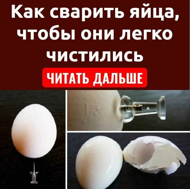 Как сварить яйцо чтобы легко чистилось. Как сварить яйца чтобы легко чистились. как правильно варить яйца чтобы легко чистились. чтобы яйцо легче чистилось. как варить яйца.