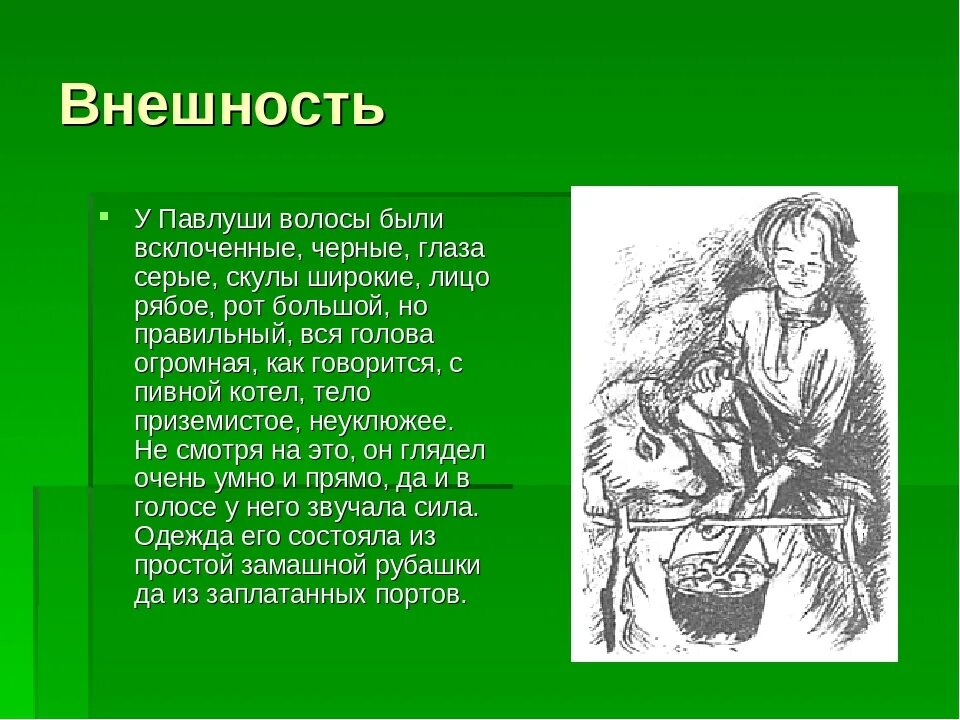 Рассказ павлуши