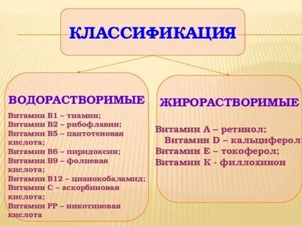 В1 жирорастворимый