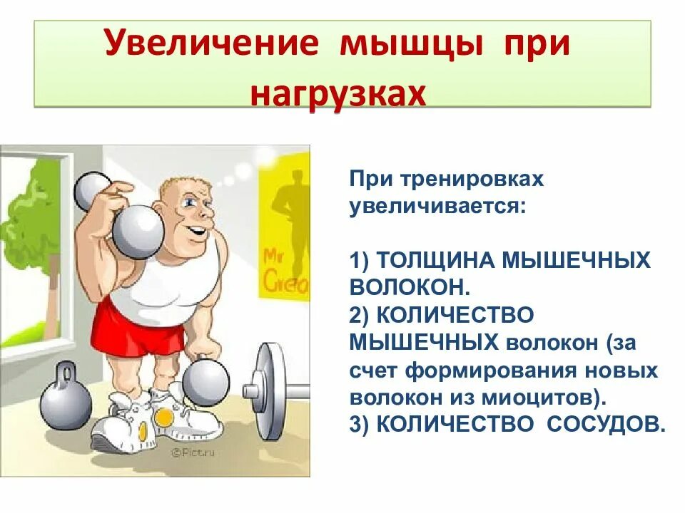 Почему поднимается вес