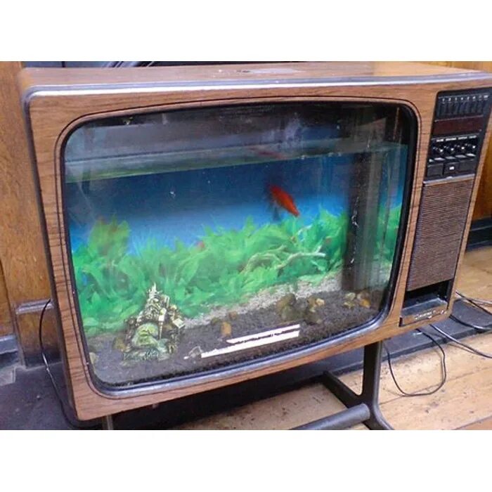 Корпус телевизора купить. Аквариум телевизор. Аквариум из старого телевизора. Аквариум из телевизора кинескопа старого. Из старого аквариума.