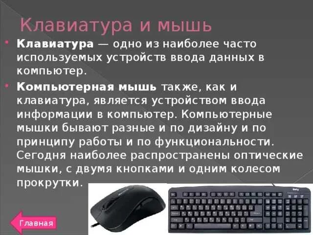 Клавиатура сообщения. Мышь и клавиатура информация. мышь это устройство кратко.